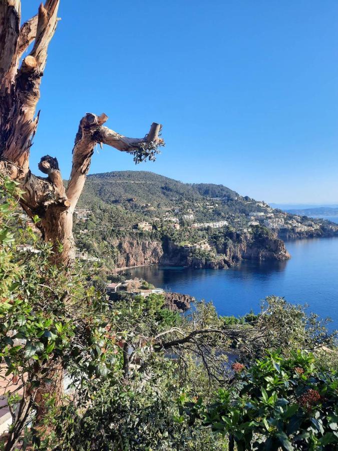 Magic Mer Saint-Raphaël Extérieur photo